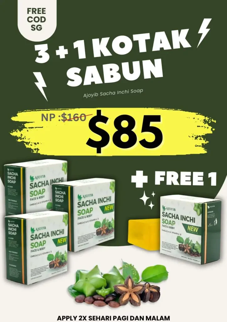 3 Box Free 1 (Hot Selling)